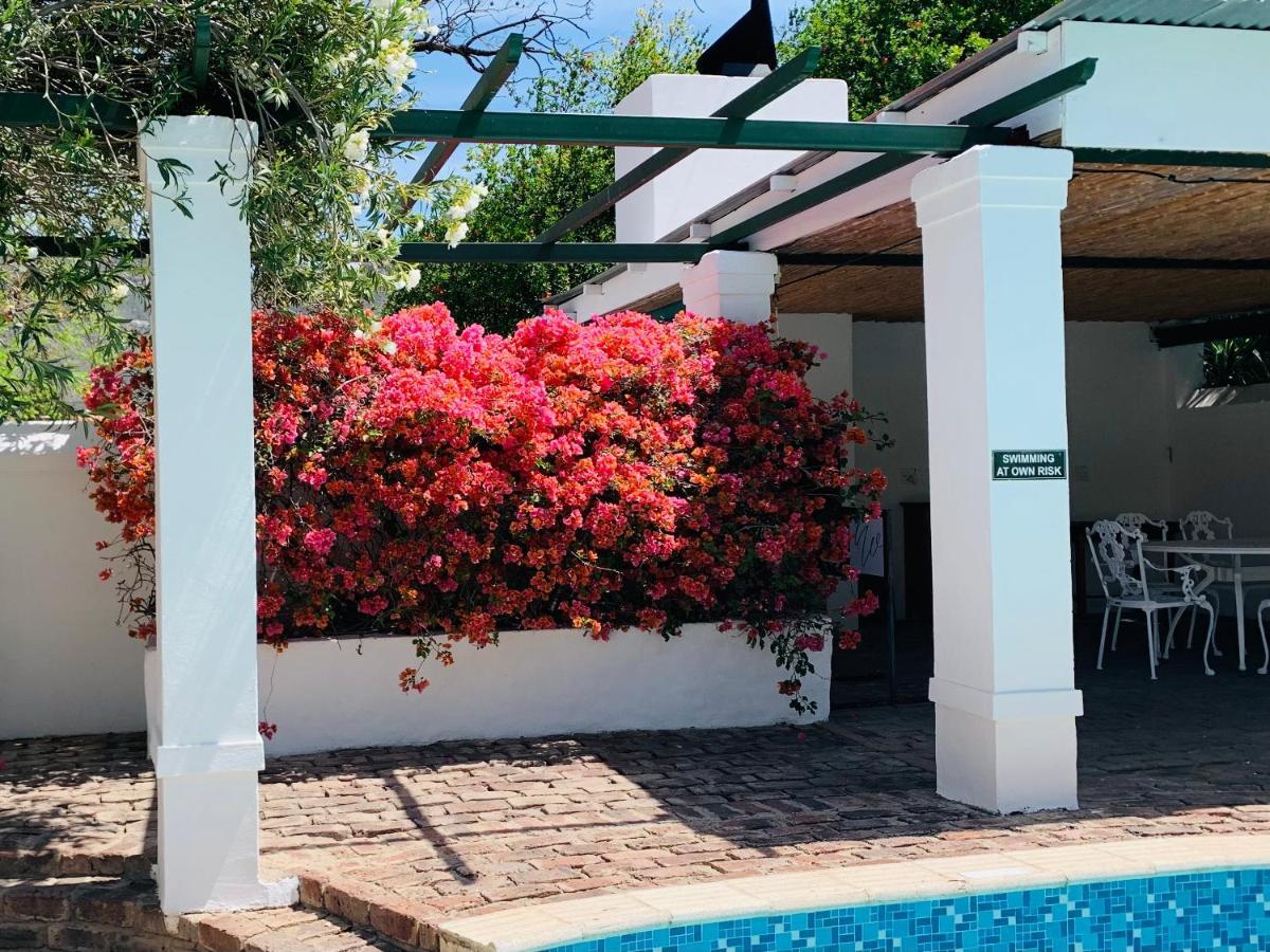 De Wingerd B & B Graaff-Reinet Zewnętrze zdjęcie